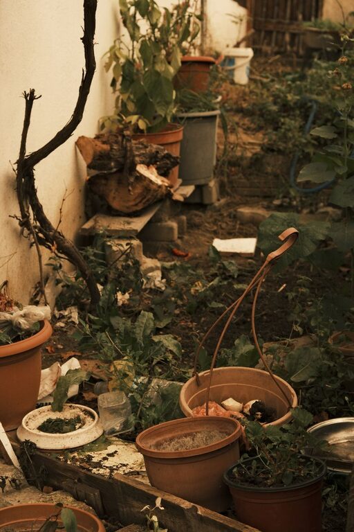 Tips for Creating a Sustainable Home Garden That Thrives Year-Round